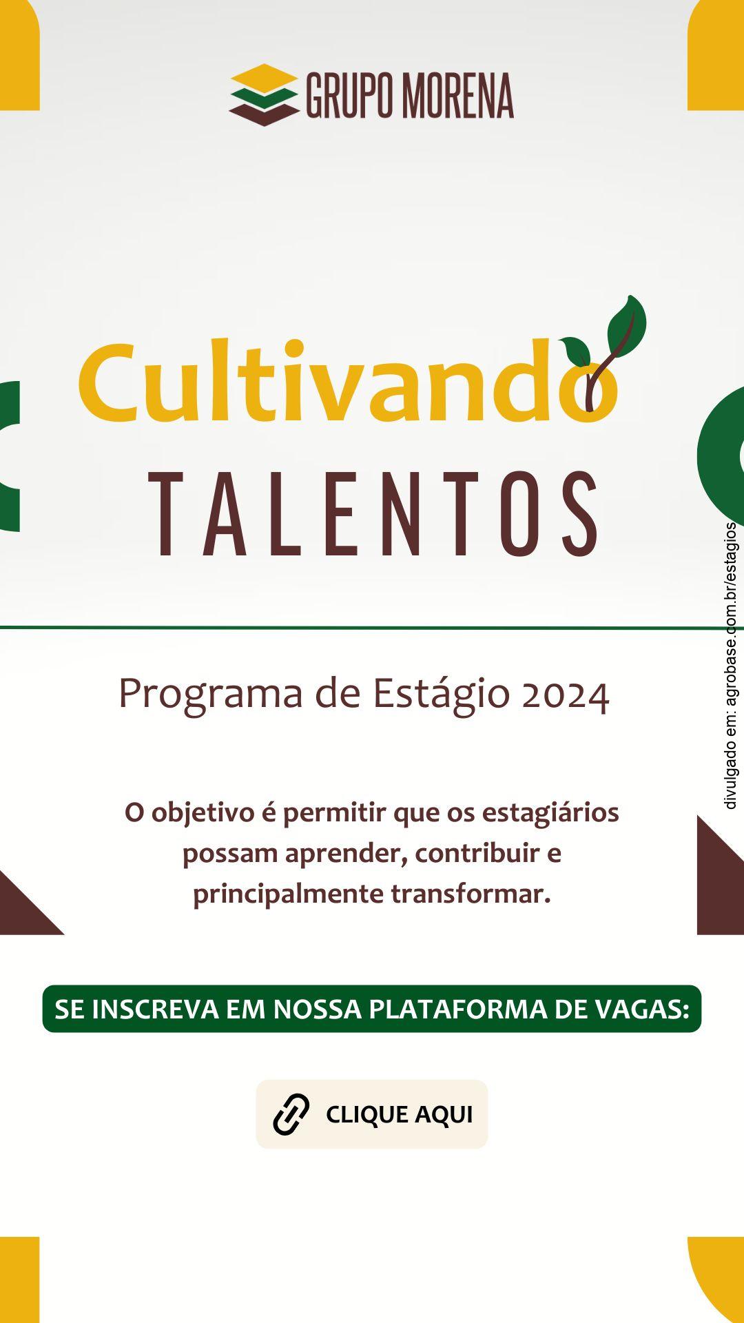 02 vagas estágio em agronomia (colheita de milho) – Campo Novo do Parecis/MT