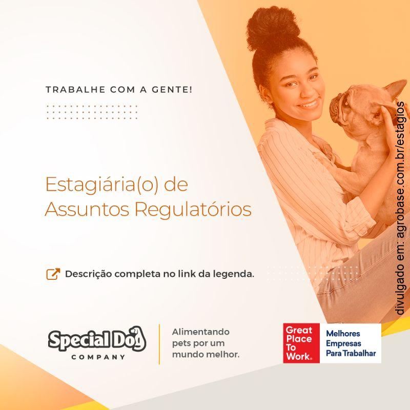 Estagiário de assuntos regulatórios – Santa Cruz do Rio Pardo/SP