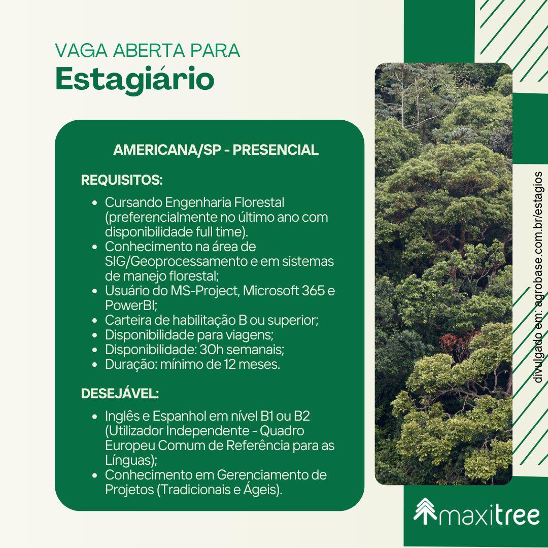 Estágio para eng. florestais – Americana/SP