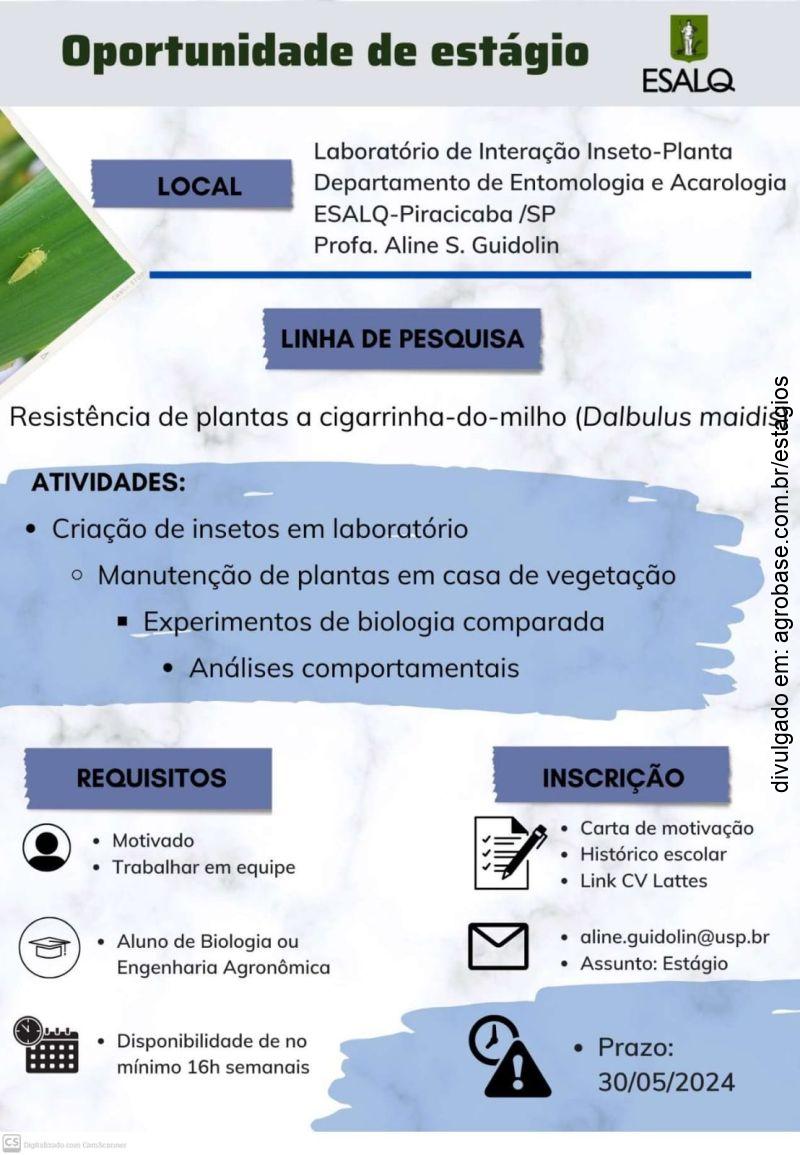 Estágio laboratório de interação inseto-planta – Piracicaba/SP