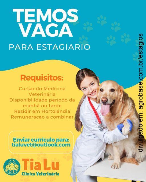 Estágio em medicina veterinária – Hortolândia/SP