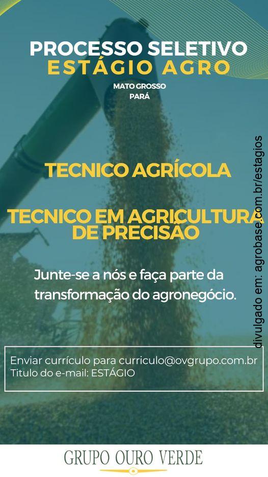 Estágio agro – MT e PA