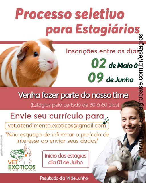 Estágio curricular em med. veterinária – Camboriú/SC
