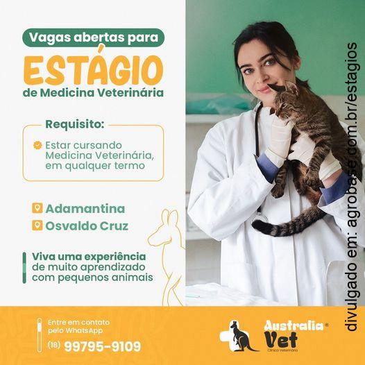 Estágio de medicina veterinária – Osvaldo Cruz/SP