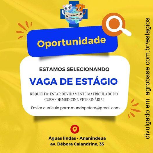 Estágio em med. veterinária – Ananindeua/PA