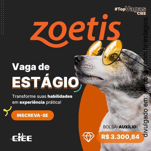 Estágio em assuntos regulatórios – São Paulo/SP [Morumbi]