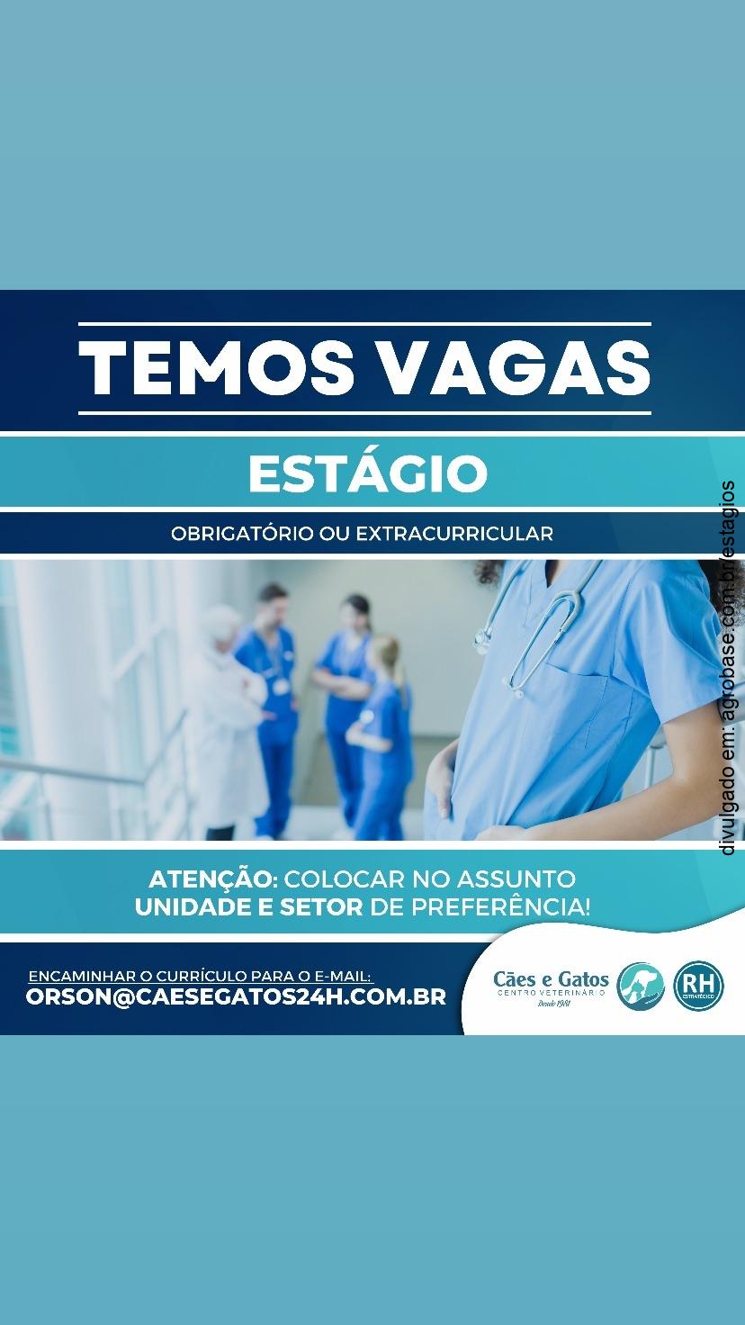 Estágio em veterinária (obrigatório ou extracurricular) SP