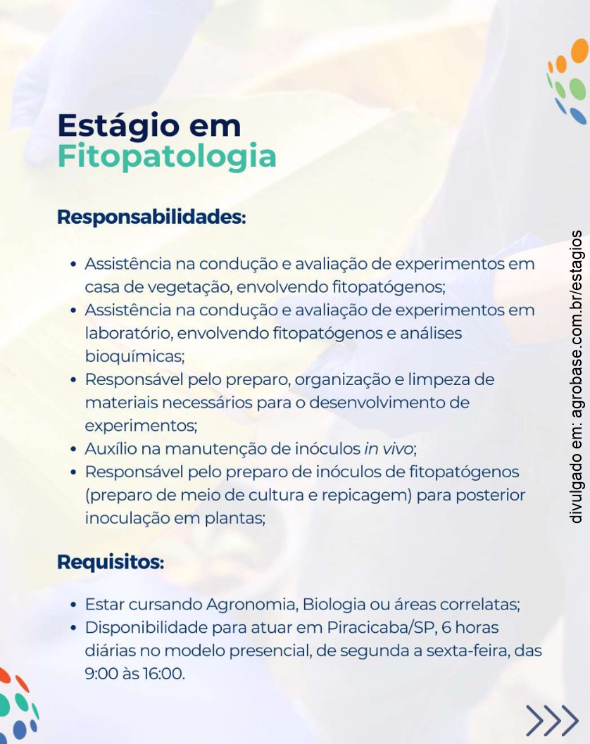 Estágio em fitopatologia – Piracicaba/SP