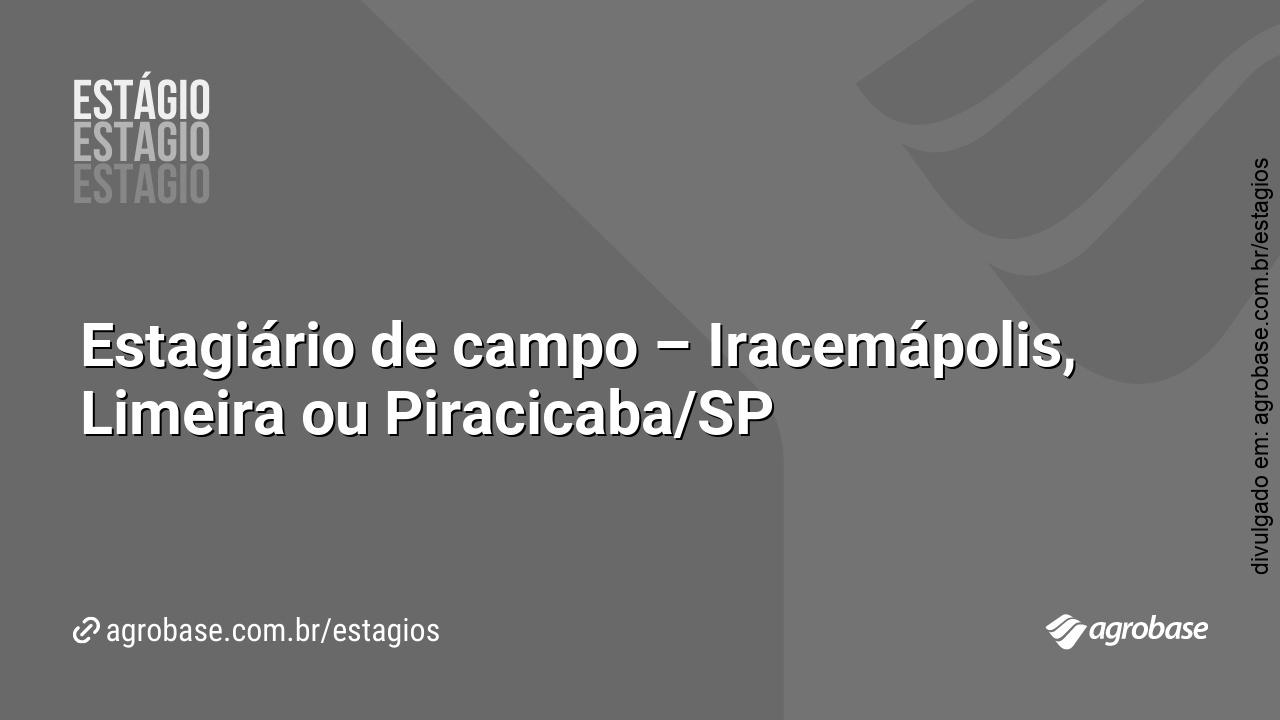 Estagiário de campo – Iracemápolis, Limeira ou Piracicaba/SP
