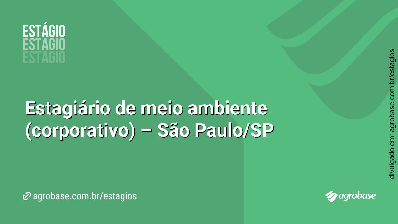 Estagiário de meio ambiente (corporativo) – São Paulo/SP