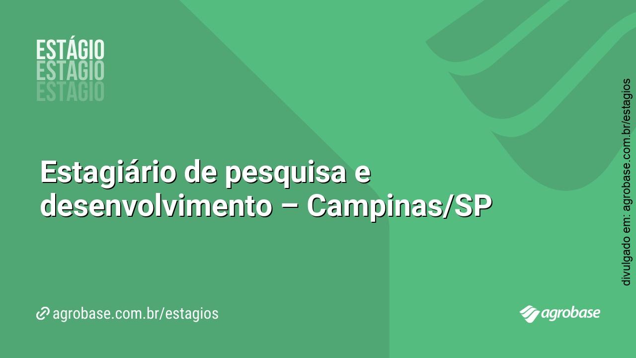 Estagiário de pesquisa e desenvolvimento – Campinas/SP