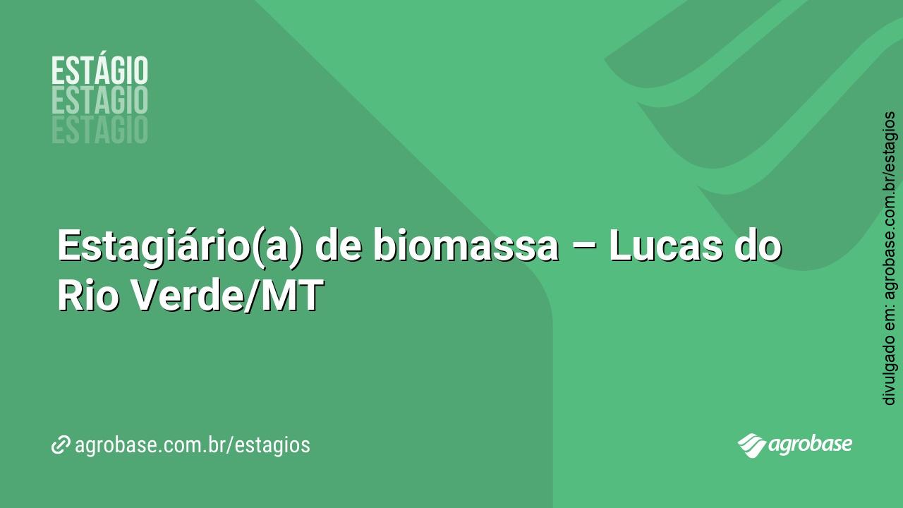 Estagiário(a) de biomassa – Lucas do Rio Verde/MT