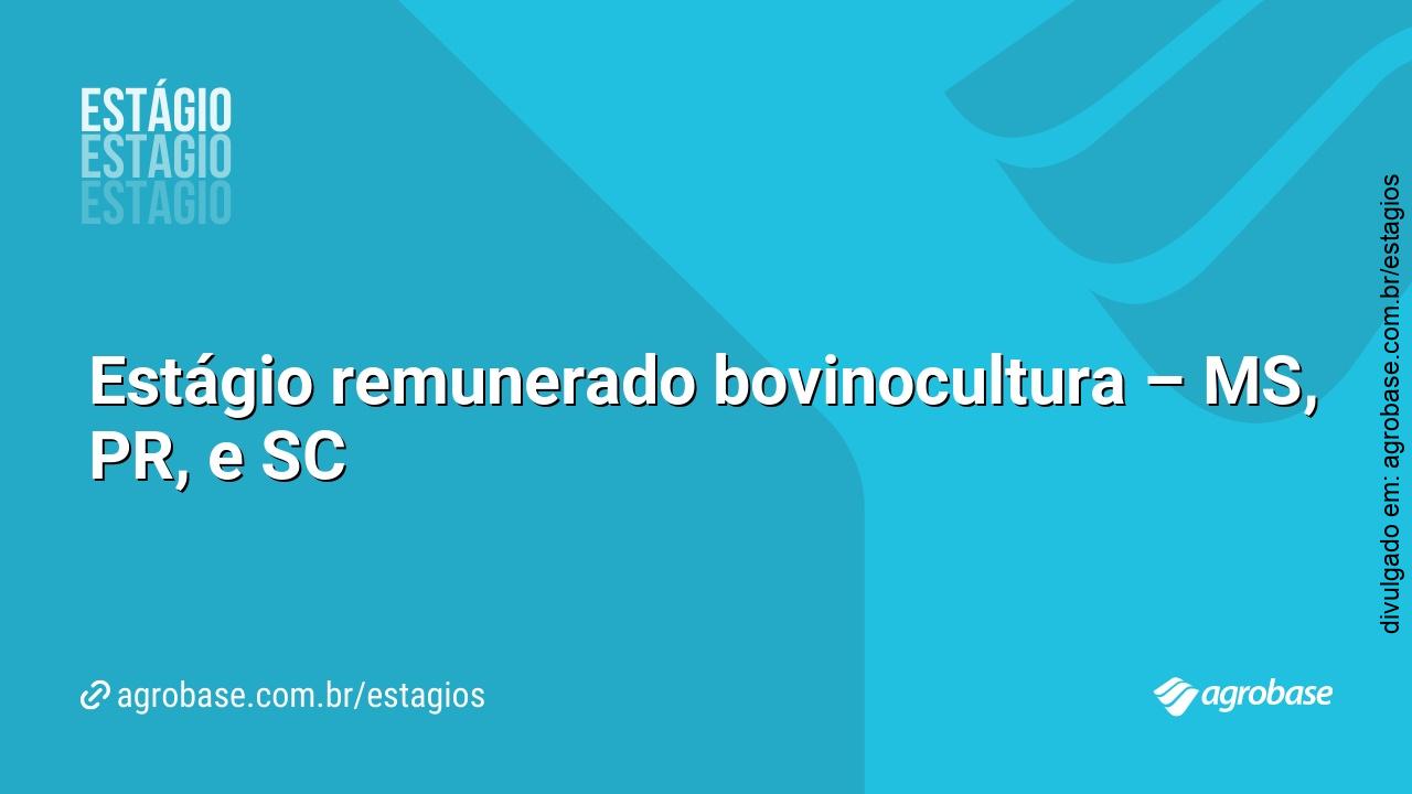 Estágio remunerado bovinocultura – MS, PR, e SC