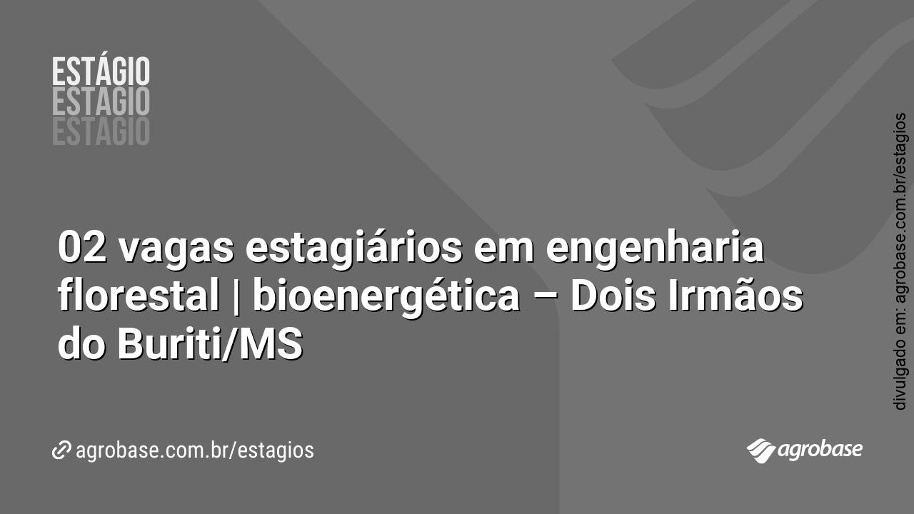 02 vagas estagiários em engenharia florestal | bioenergética – Dois Irmãos do Buriti/MS