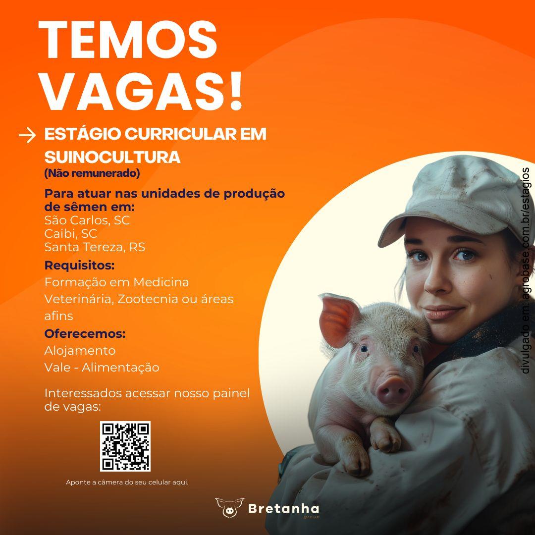 Estágio curricular em suinocultura – SC e RS