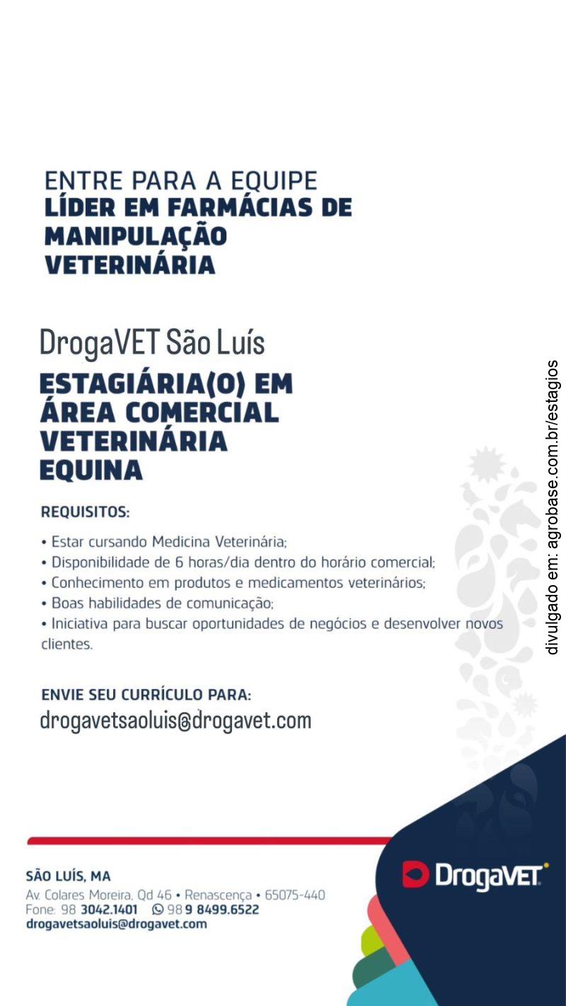 Estagiário na área comercial veterinária (equinos) – São Luís/MA