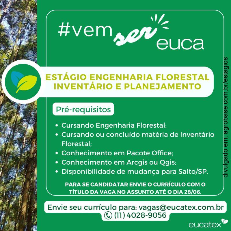 Estágio engenharia florestal e inventário florestal – Salto/SP