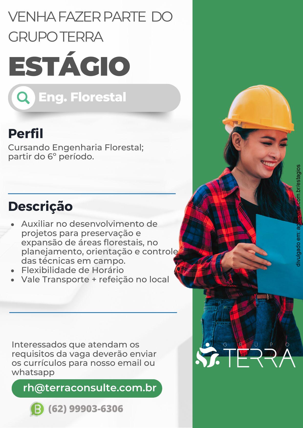 Estágio eng. florestal – GO