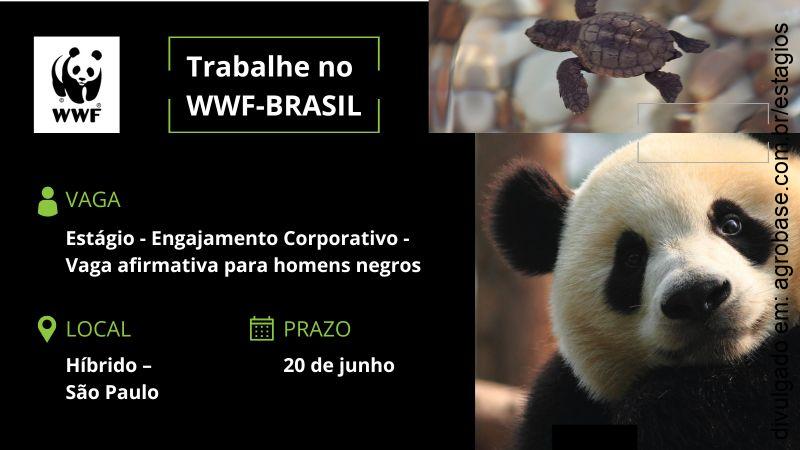 Estágio engajamento corporativo – São Paulo/SP [vaga afirmativa para homens negros]