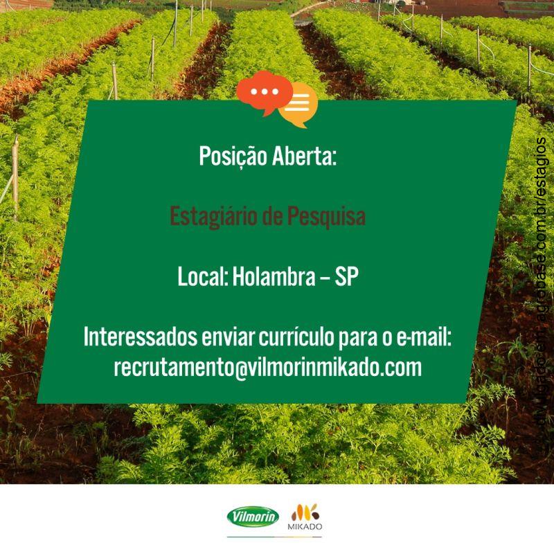 Estagiário de pesquisa – Holambra/SP