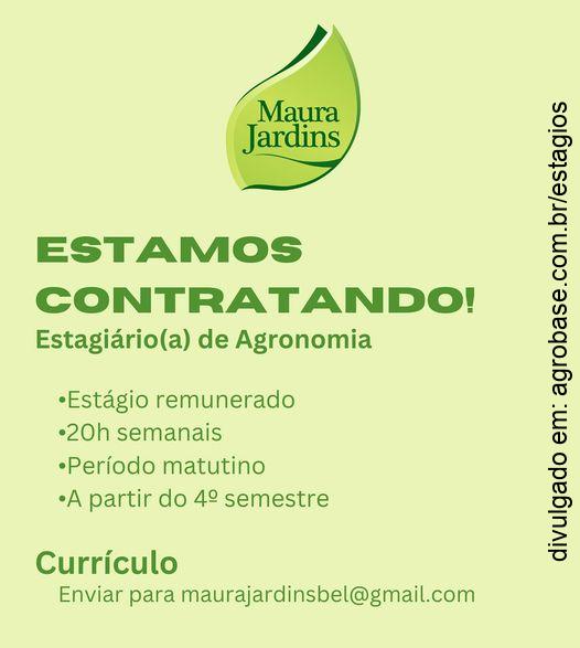 Estagiário(a) de agronomia – Belém/PA