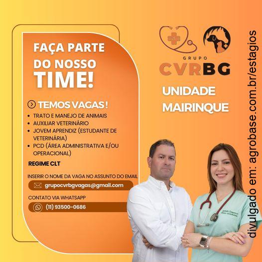 Jovem aprendiz (estudante veterinária) – Mairinque/SP