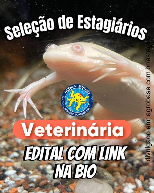 Estágio para estudantes de veterinária no Acqua Mundo – Guarujá/SP