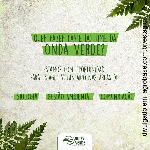 Estagiários voluntários ONG Onda Verde – Nova Iguaçu/RJ
