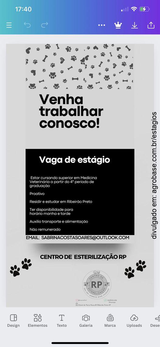 Estágio medicina veterinária – Ribeirão Preto/SP