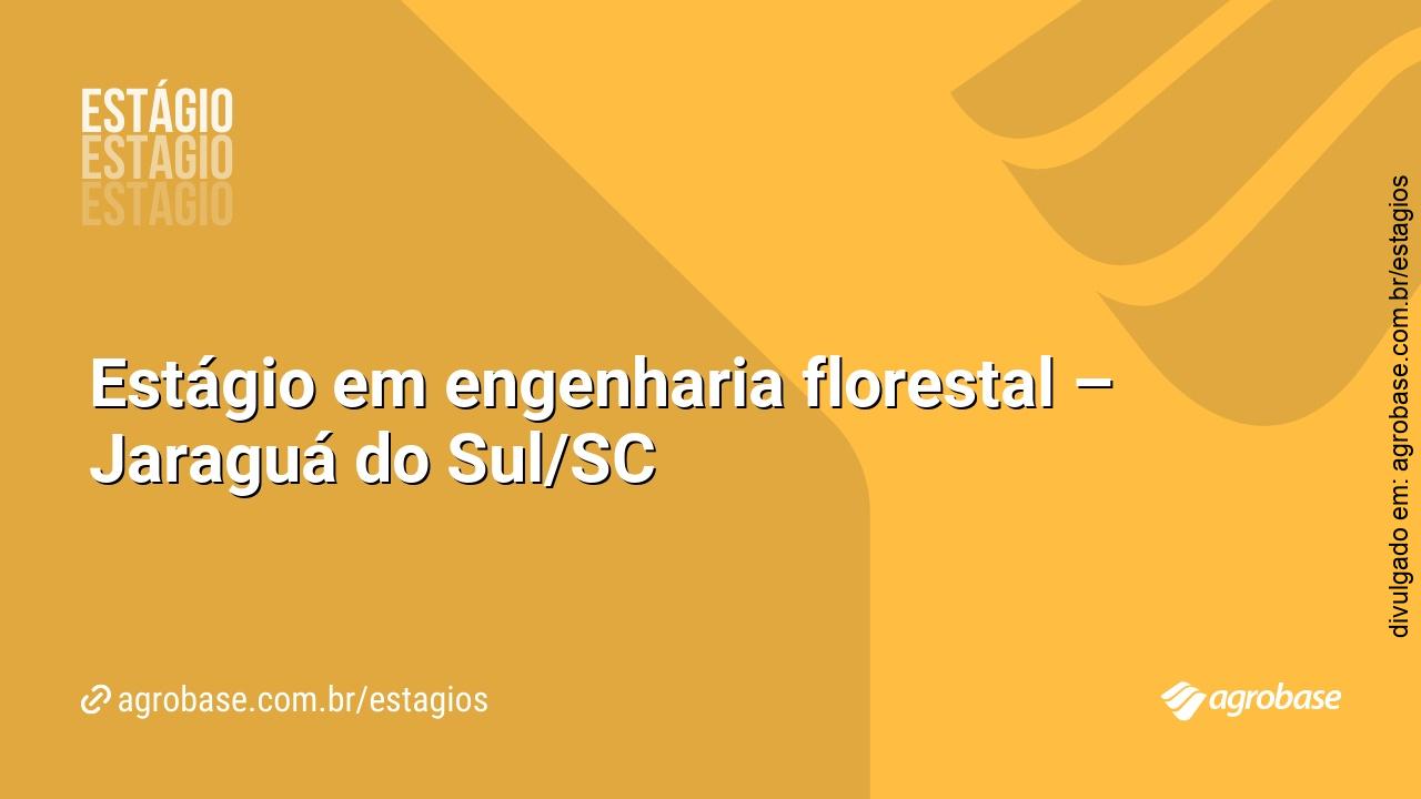 Estágio em engenharia florestal – Jaraguá do Sul/SC