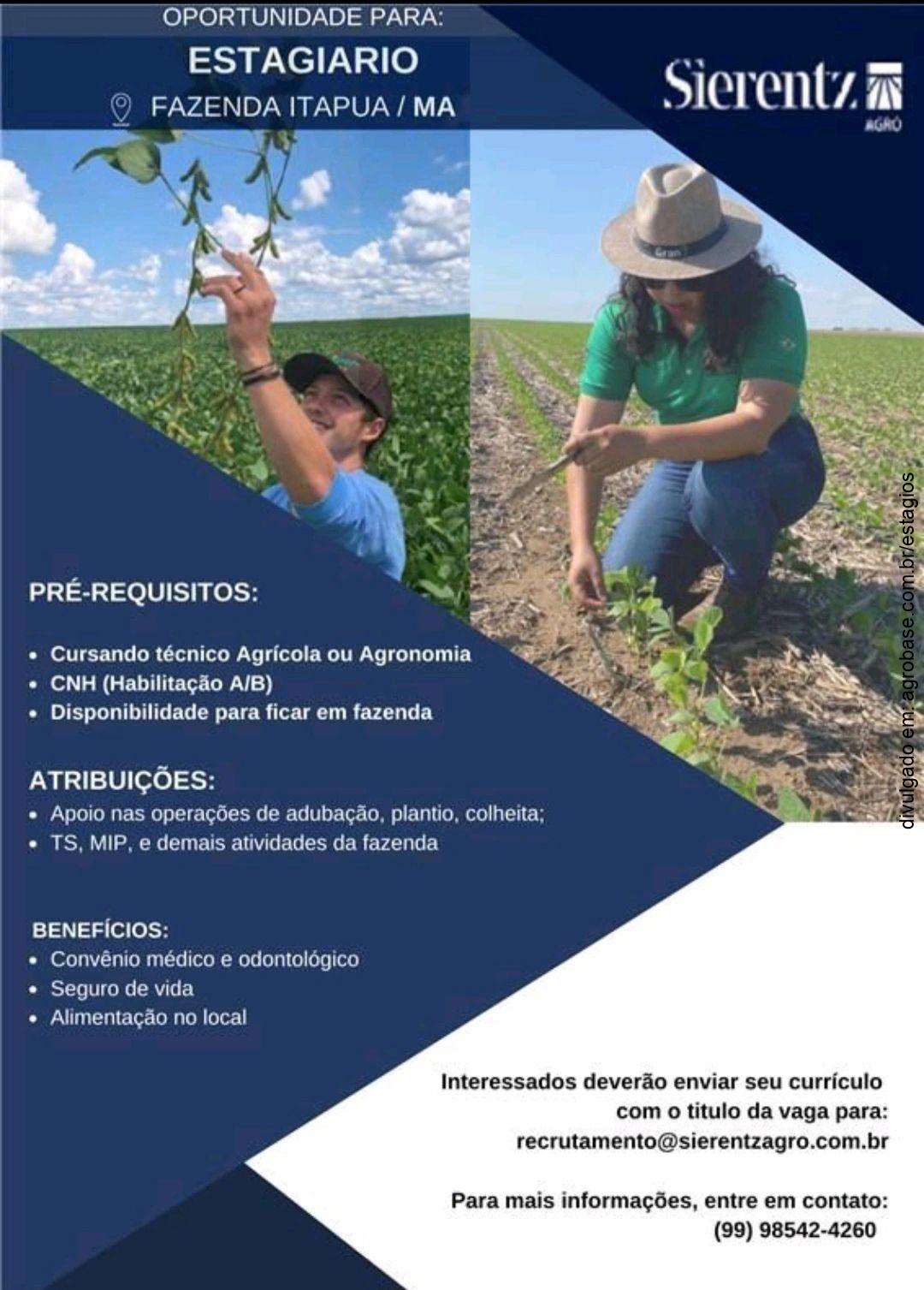 Estágio em fazenda – Itapuã/MA