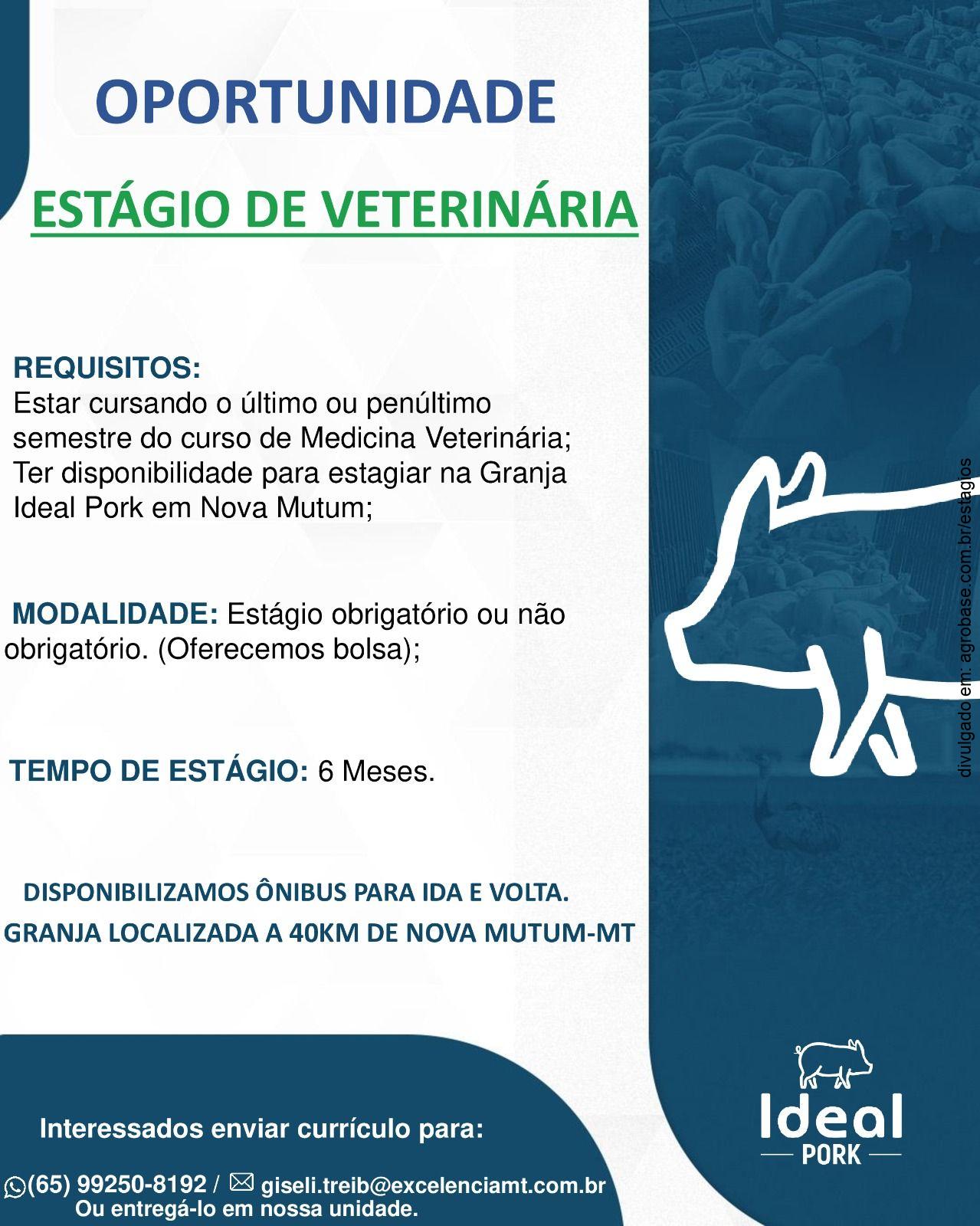 Estágio de veterinária – Nova Mutum/MT