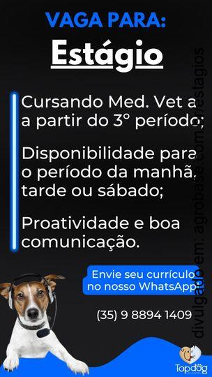 Estágio med. veterinária – Pouso Alegre/MG