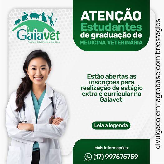 Estágios extra e curricular medicina veterinária – São José do Rio Preto/SP