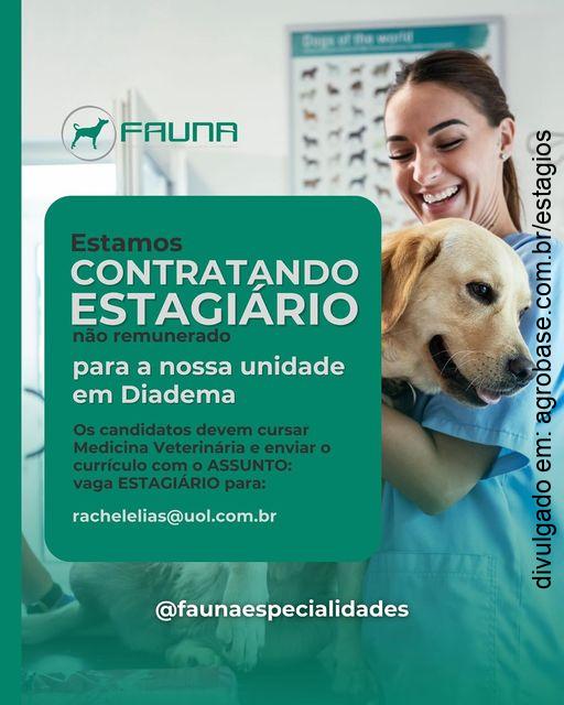 Estagiário(a) de veterinária – Diadema/SP