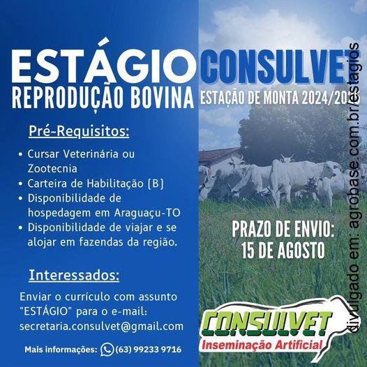 Estágio reprodução bovinos – Araguaçu/TO