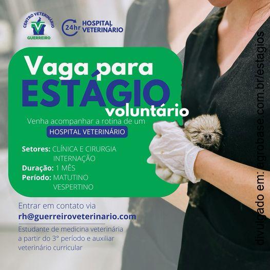 Estágio voluntário em hospital veterinário – São Paulo/SP