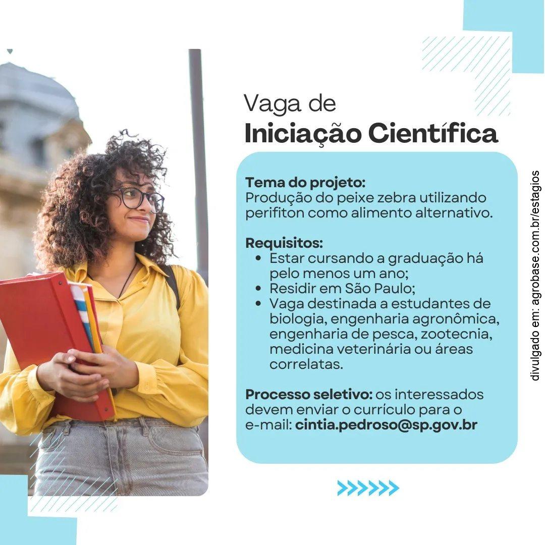 Vaga de iniciação científica: produção do peixe zebra – São Paulo/SP