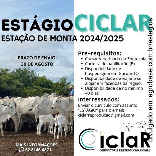 Estágio estação de monta 24/25 – Gurupi/TO