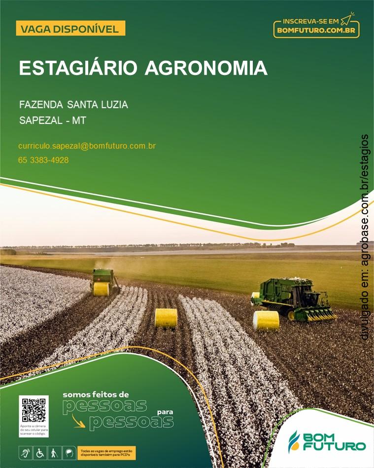 Estagiário agronomia – Sapezal/MT