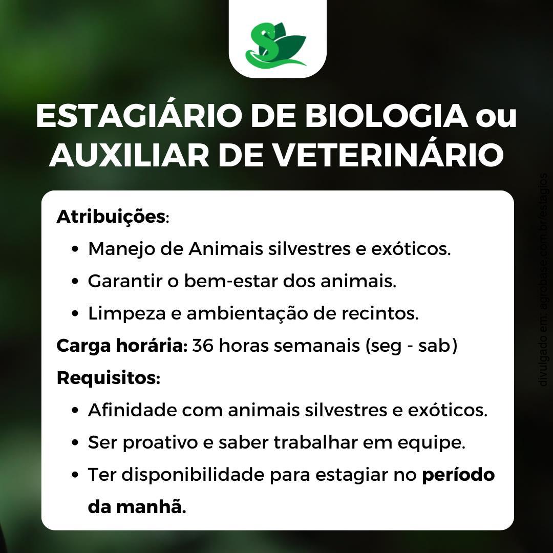 453508931 1008758387921406 3886943736870247909 n