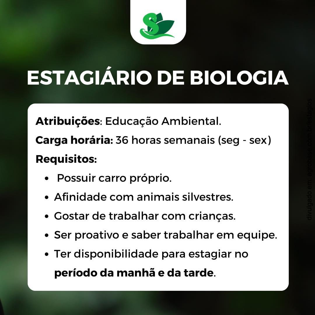 453614730 1008758377921407 1901772479084431752 n