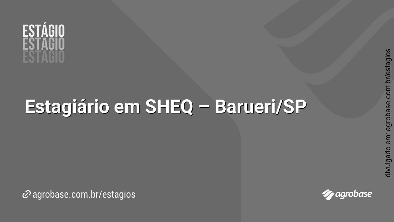 Estagiário em SHEQ – Barueri/SP