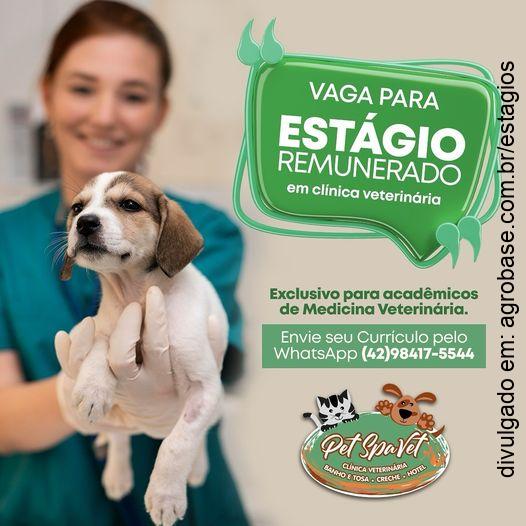 Estágio remunerado clínica veterinária – União da Vitória/PR