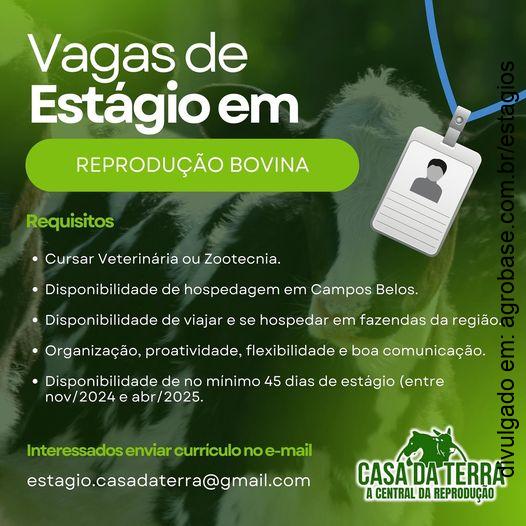 Vagas de estágio em reprodução bovina – Campos Belos/TO