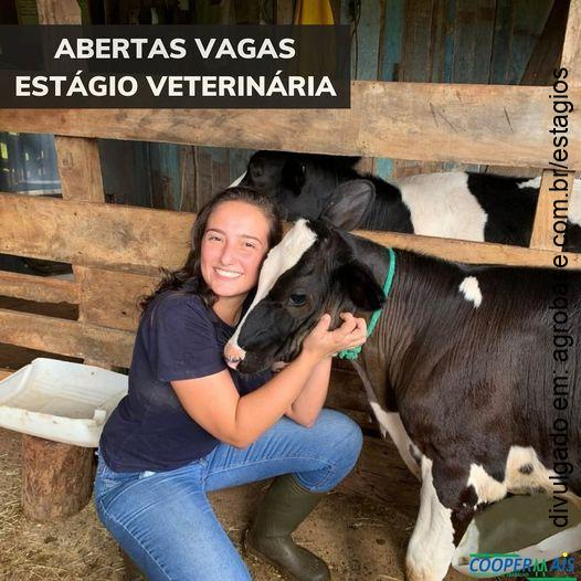 Vagas estágio em veterinária – Francisco Alves/PR