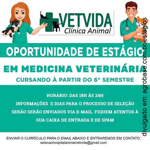 Estágio em hospital veterinário – Itu/SP