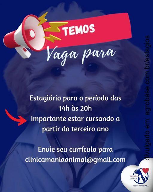 Estágio clínica veterinária – São Bernardo do Campo/SP