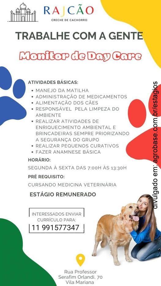 Monitor de day care (estágio remunerado) – São Paulo/SP