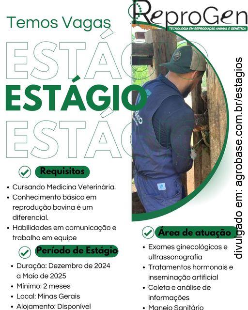 Estágio em reprodução bovina – Bom Despacho/MG